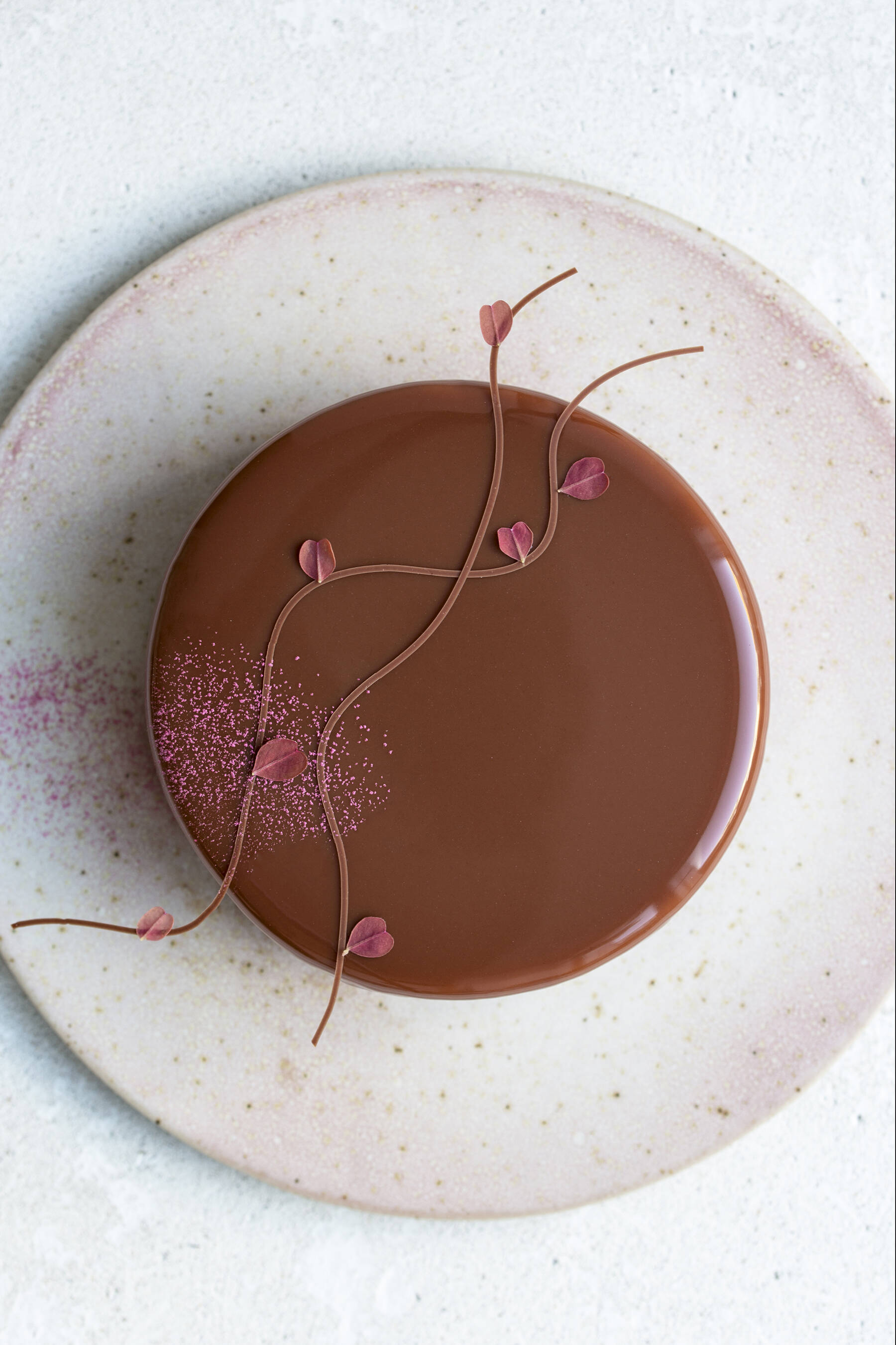 Chocolate mousse cake with raspberry
