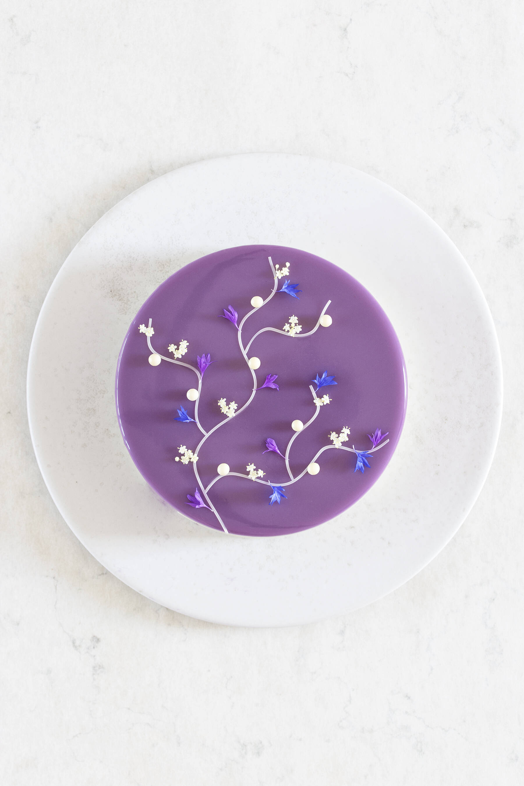 Blueberry chocolate cake